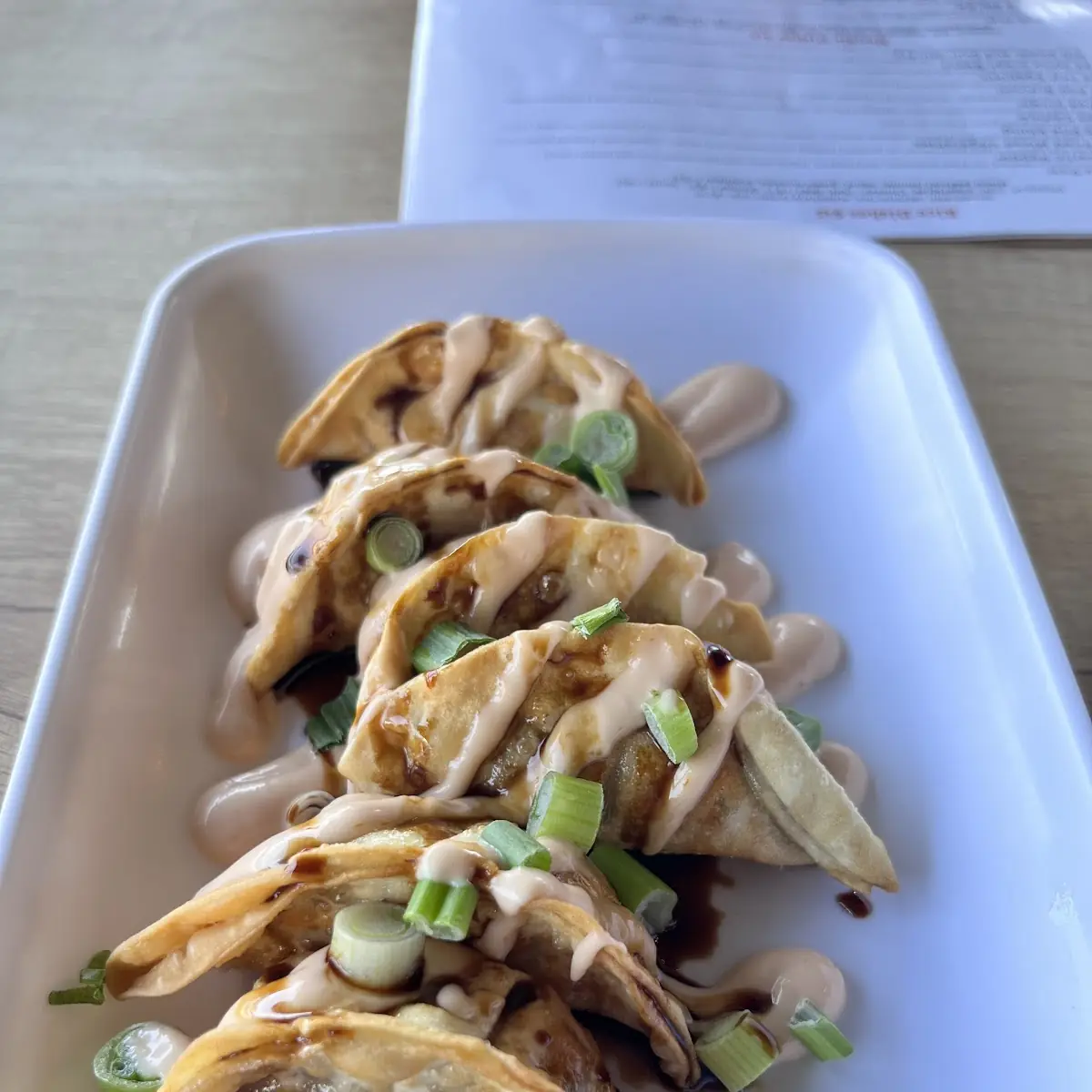 Chicken Dumplings
