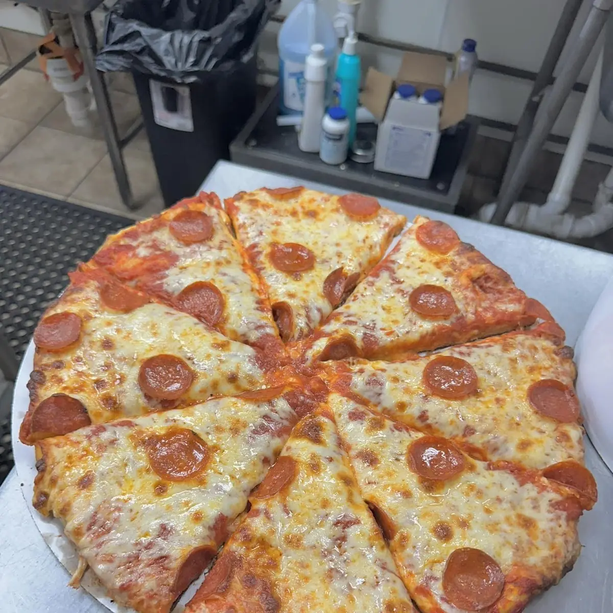 Cheese and Pepperoni Pizza
