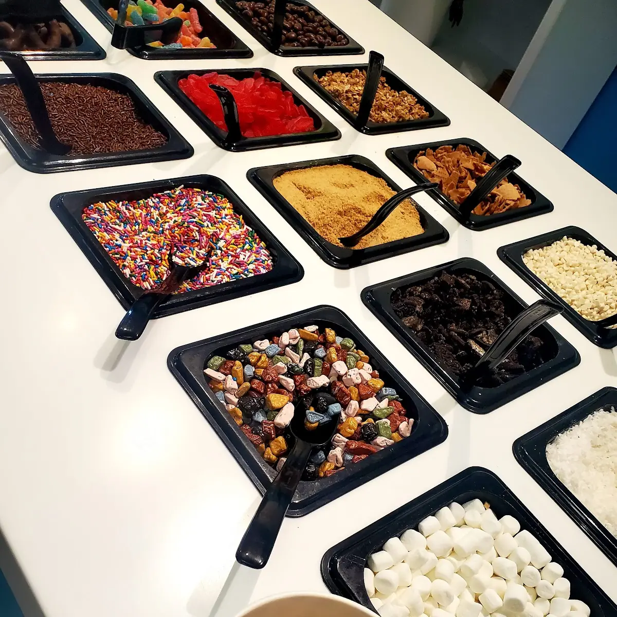 Frozen Yogurt Toppings