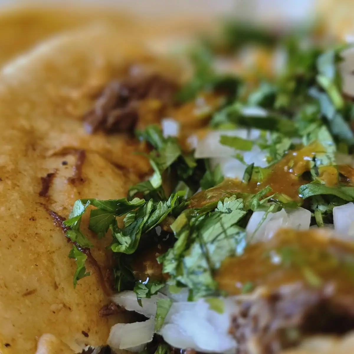 Tacos Plebes