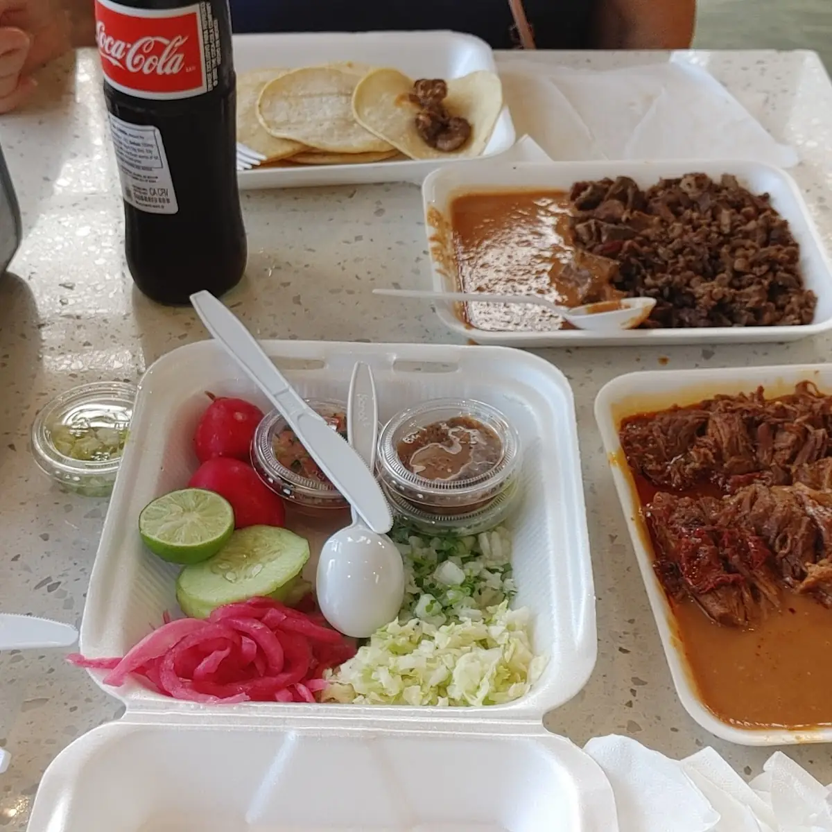 Asada and Barbacoa Tacos