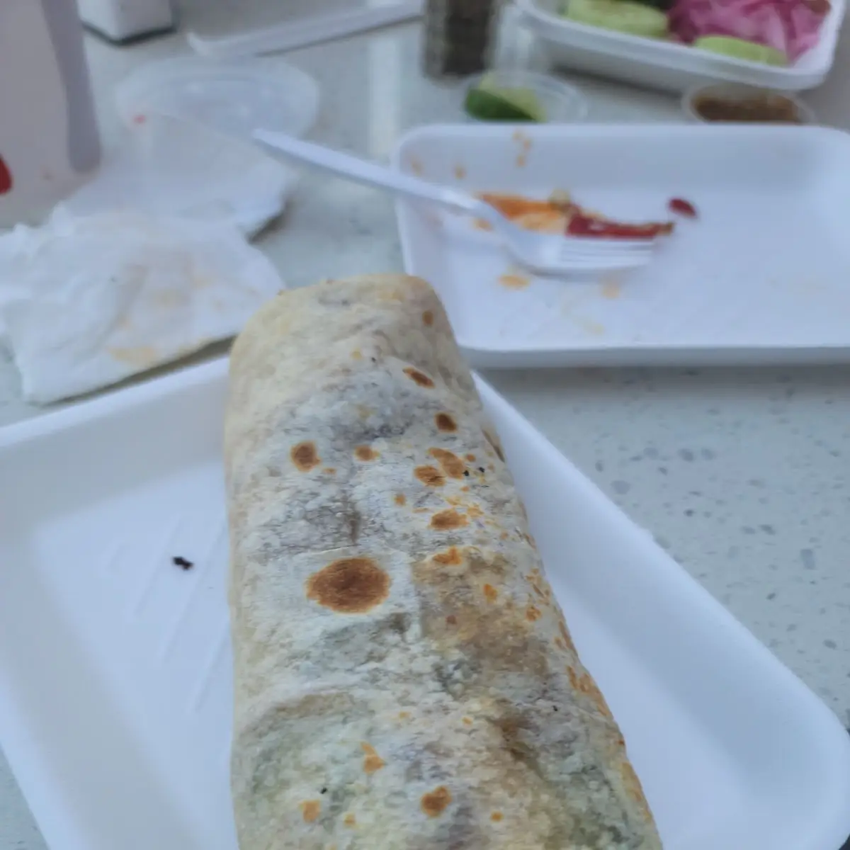 Barbacoa Burrito