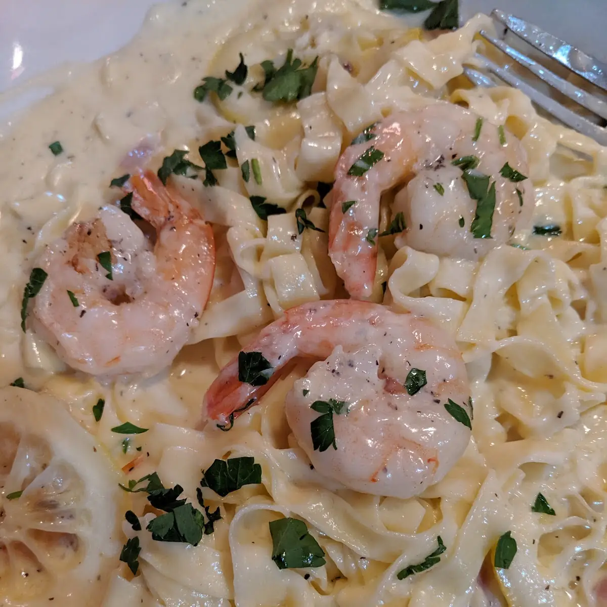 Shrimp Alfredo