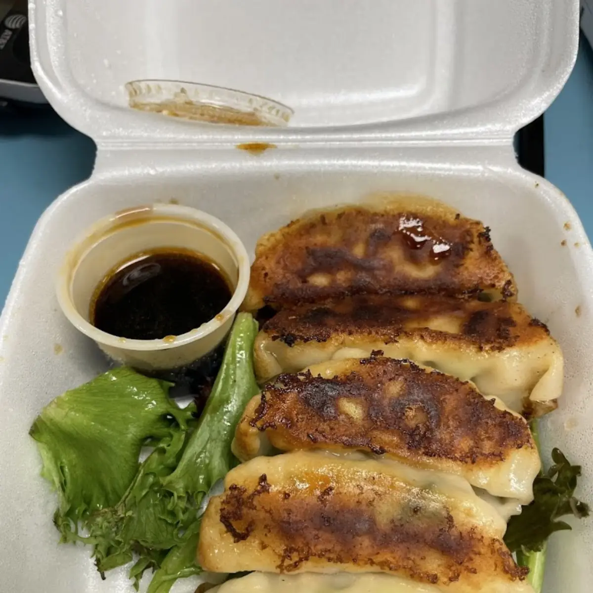Vegetable Gyoza