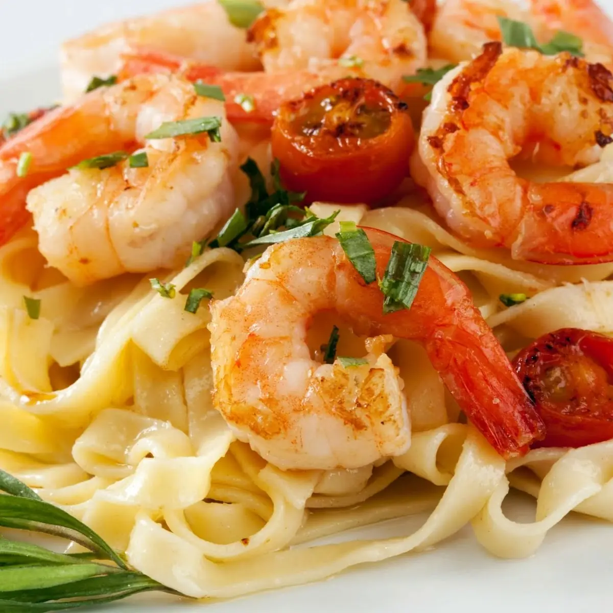 Shrimp Alfredo