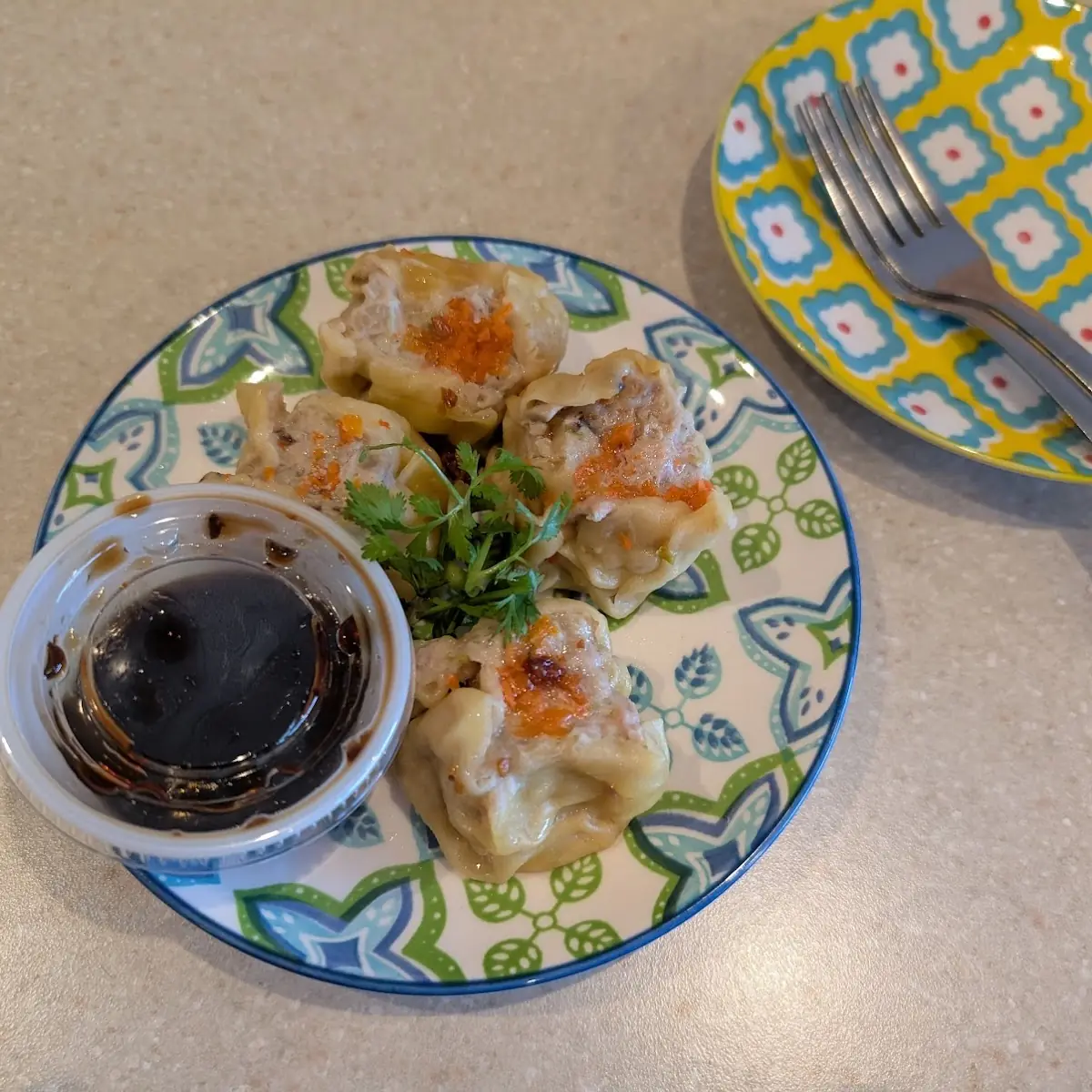 Crispy Chicken & Veg Gyoza 5
