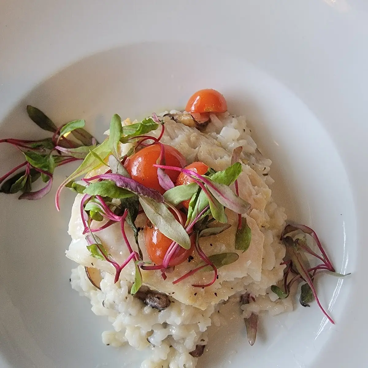 Sea Bass and Risotto