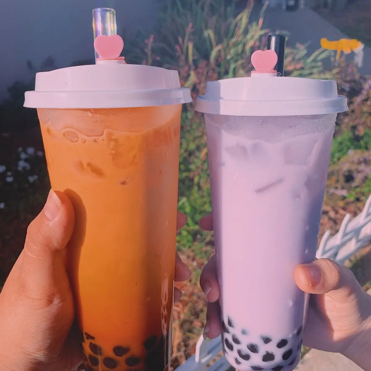 Thai Tea and Taro