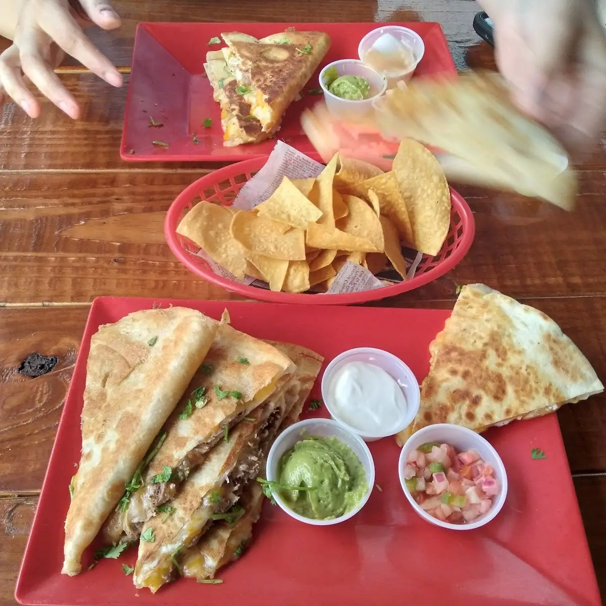 Chicken Quesadillas with Tortillas Ships