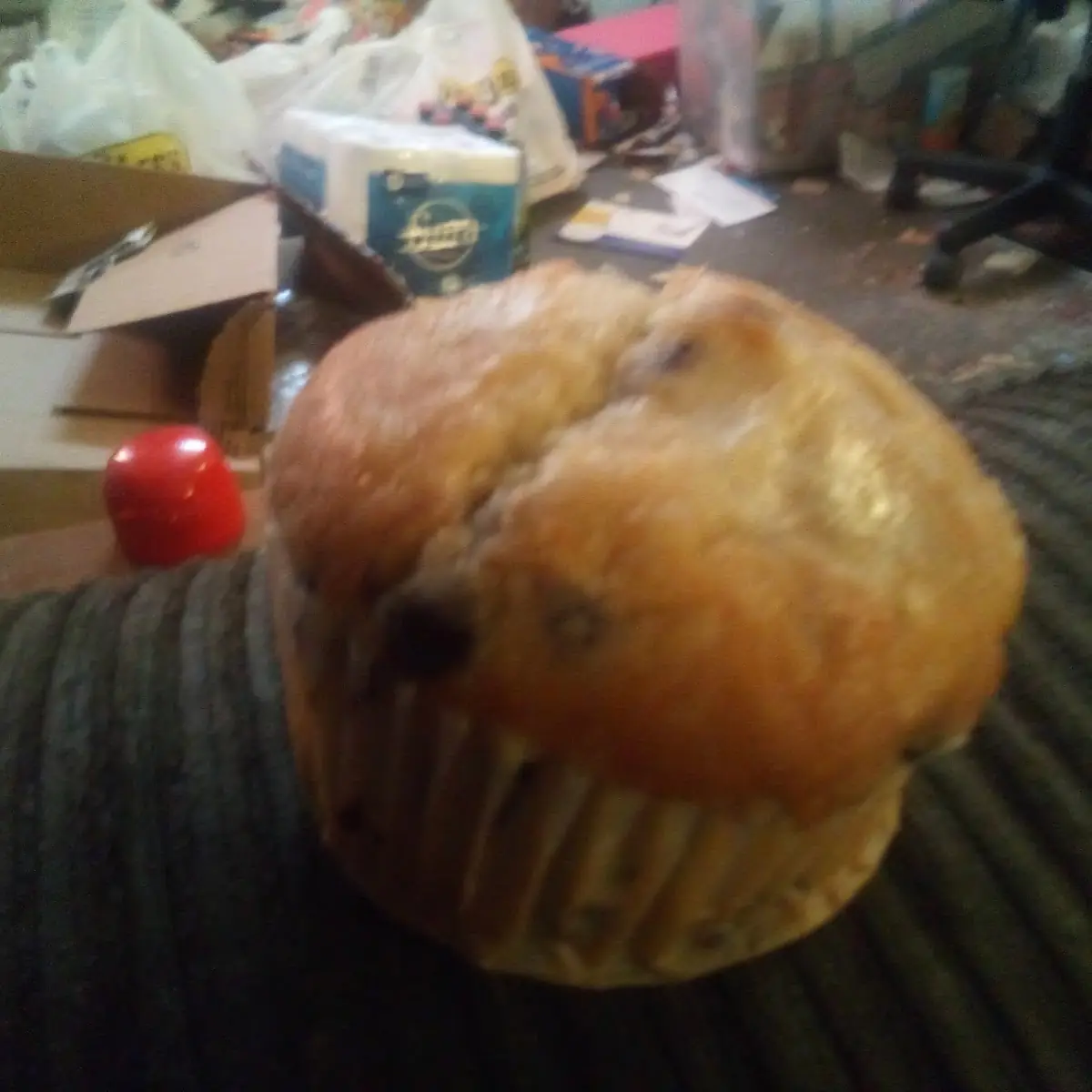 Blueberry Muffin