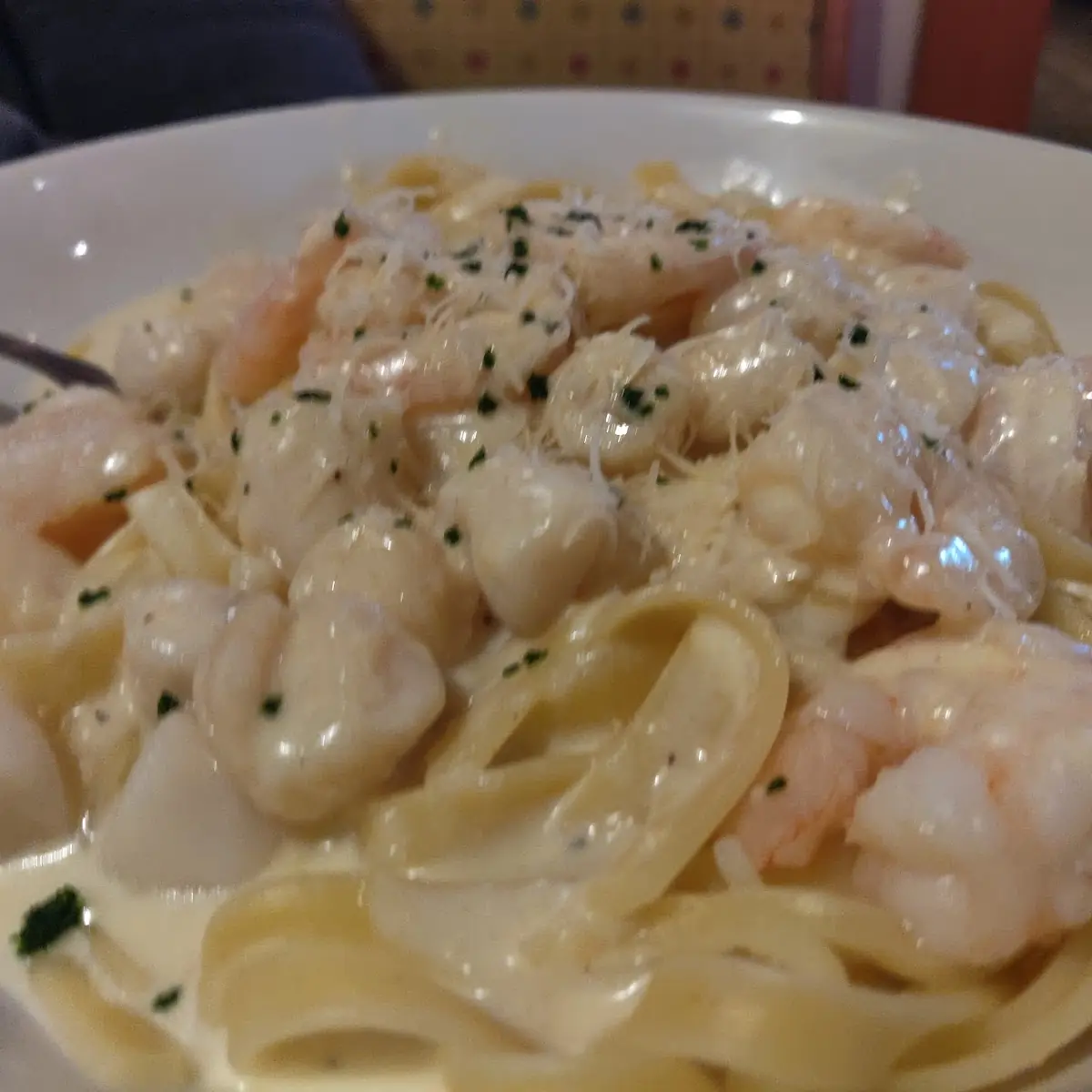 Shrimp Alfredo