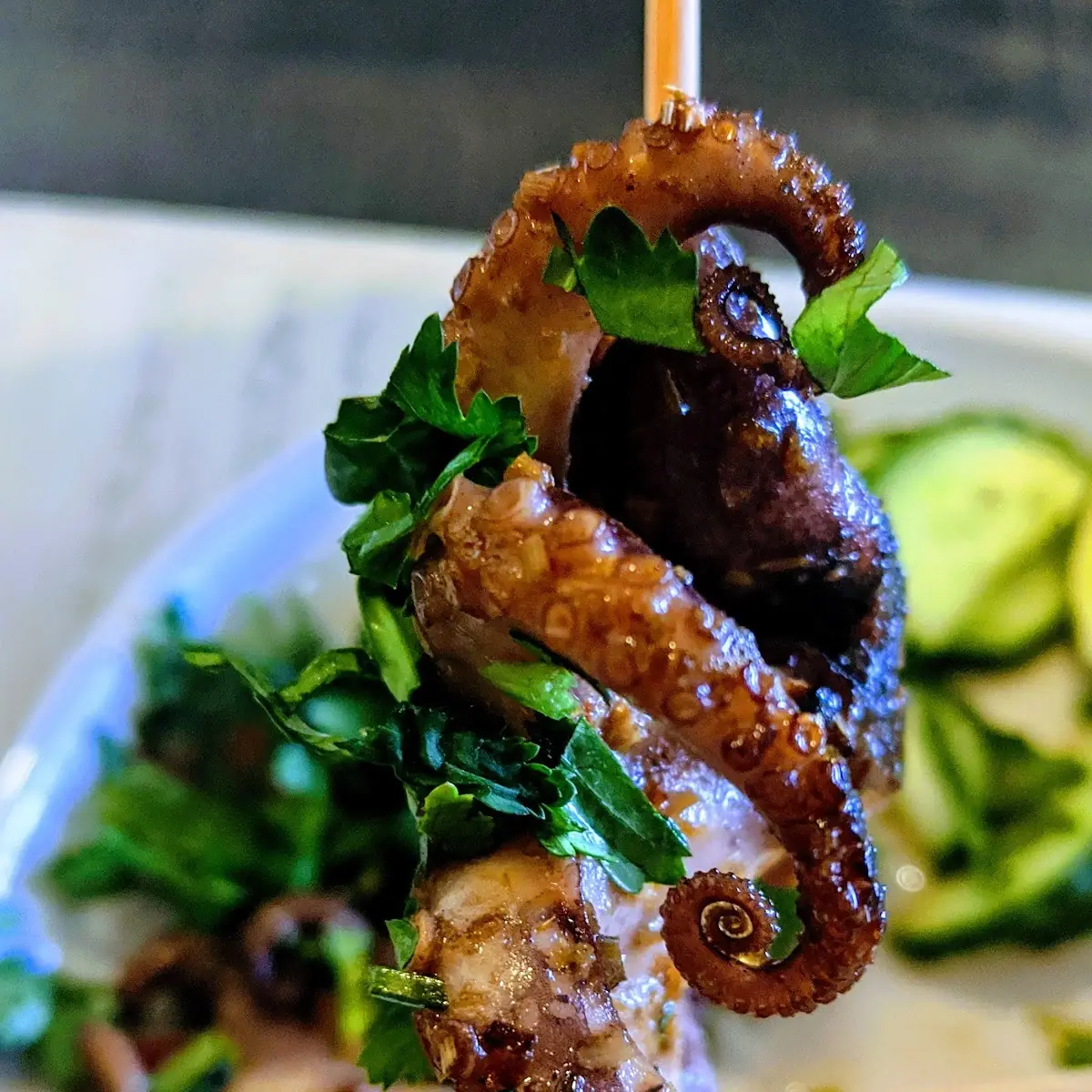 Grilled Octopus