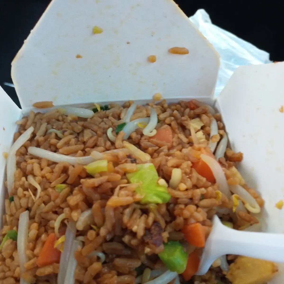 Vegetable Fried Rice