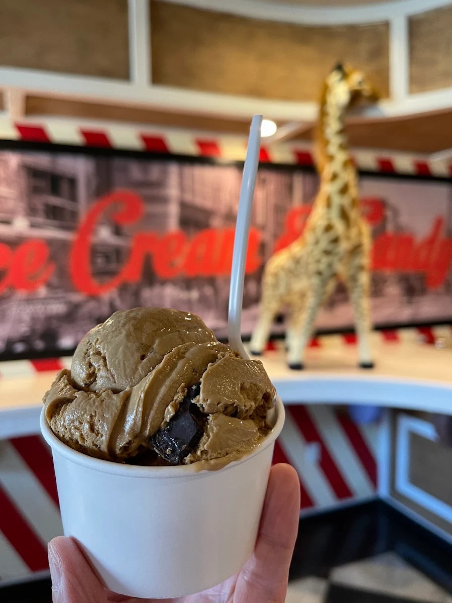Gelato