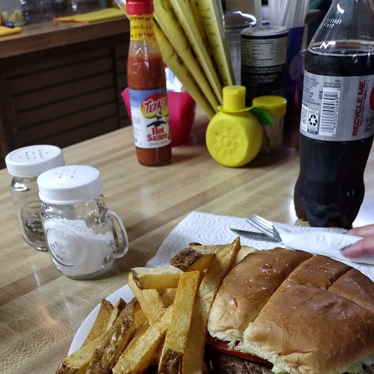 Cheese Burger and Fries