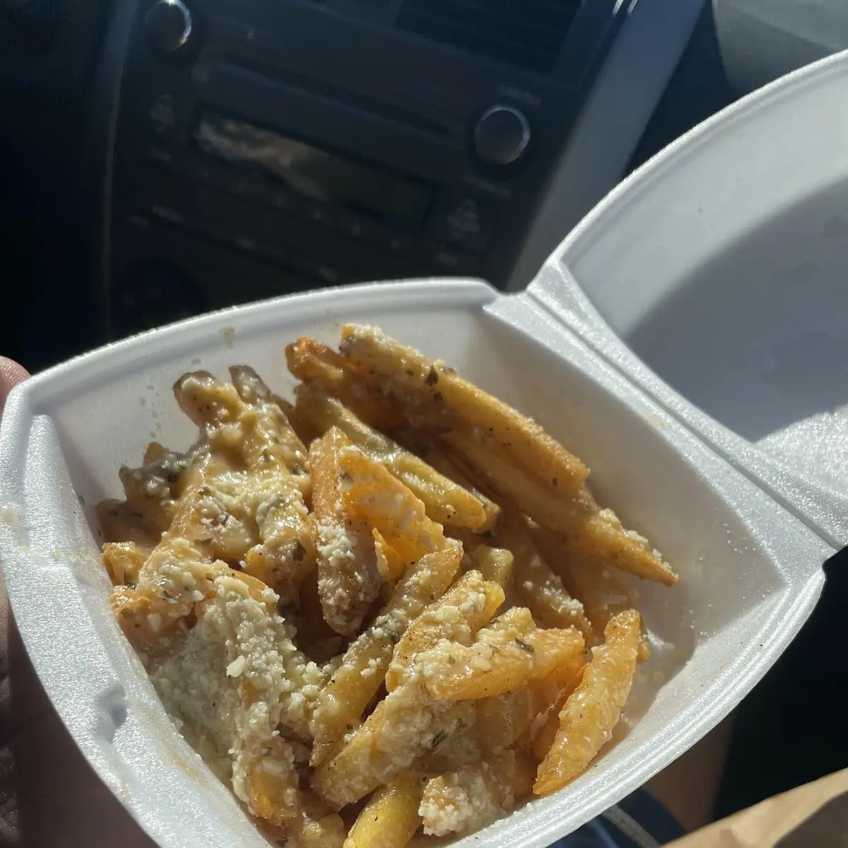 Garlic Parmesan Fries