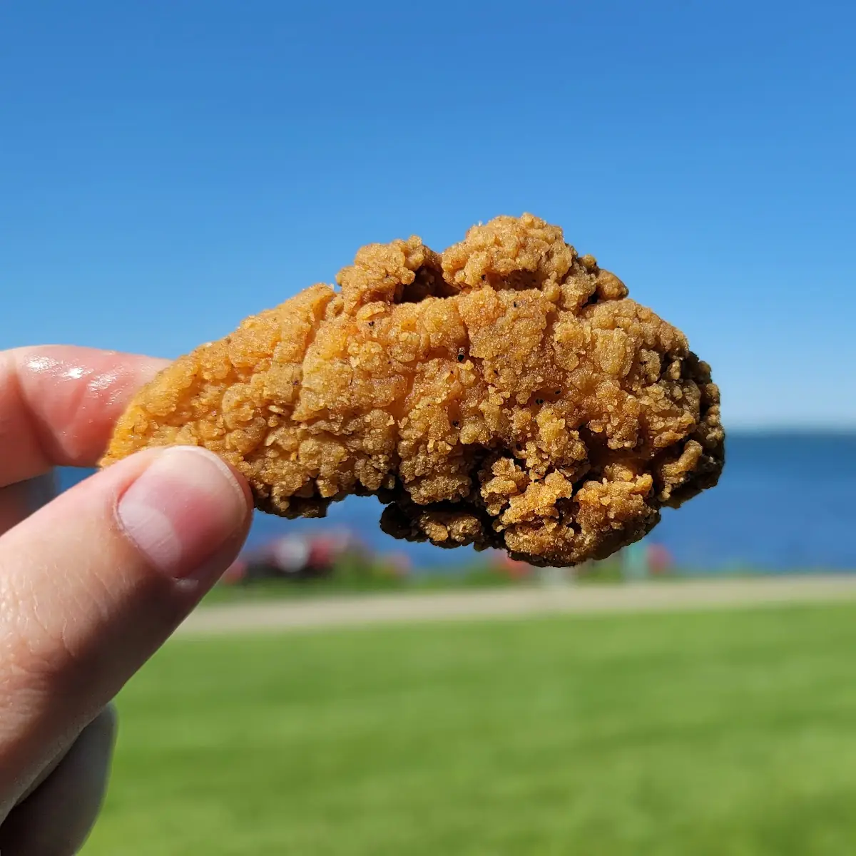 Chicken Strips Meal Deal