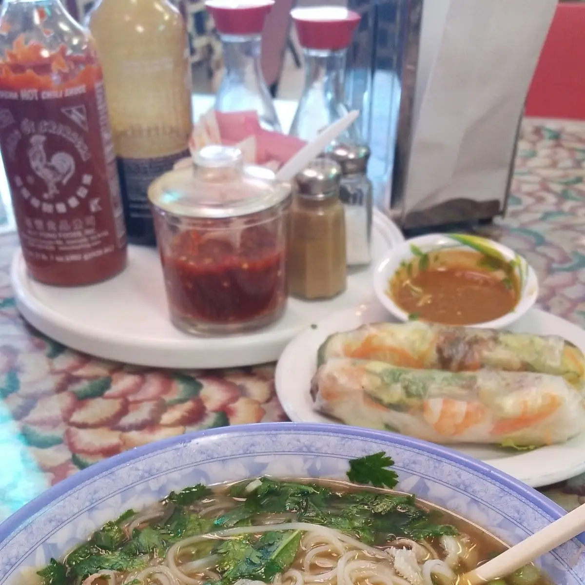 Pho Special with Spring Rolls