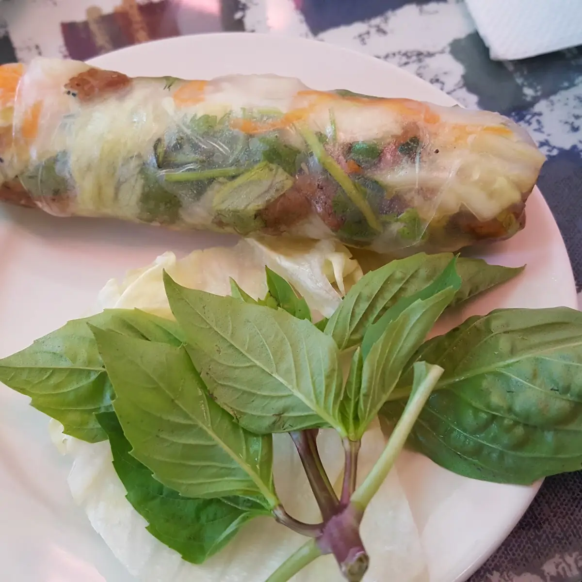 Vietnamese Spring Roll