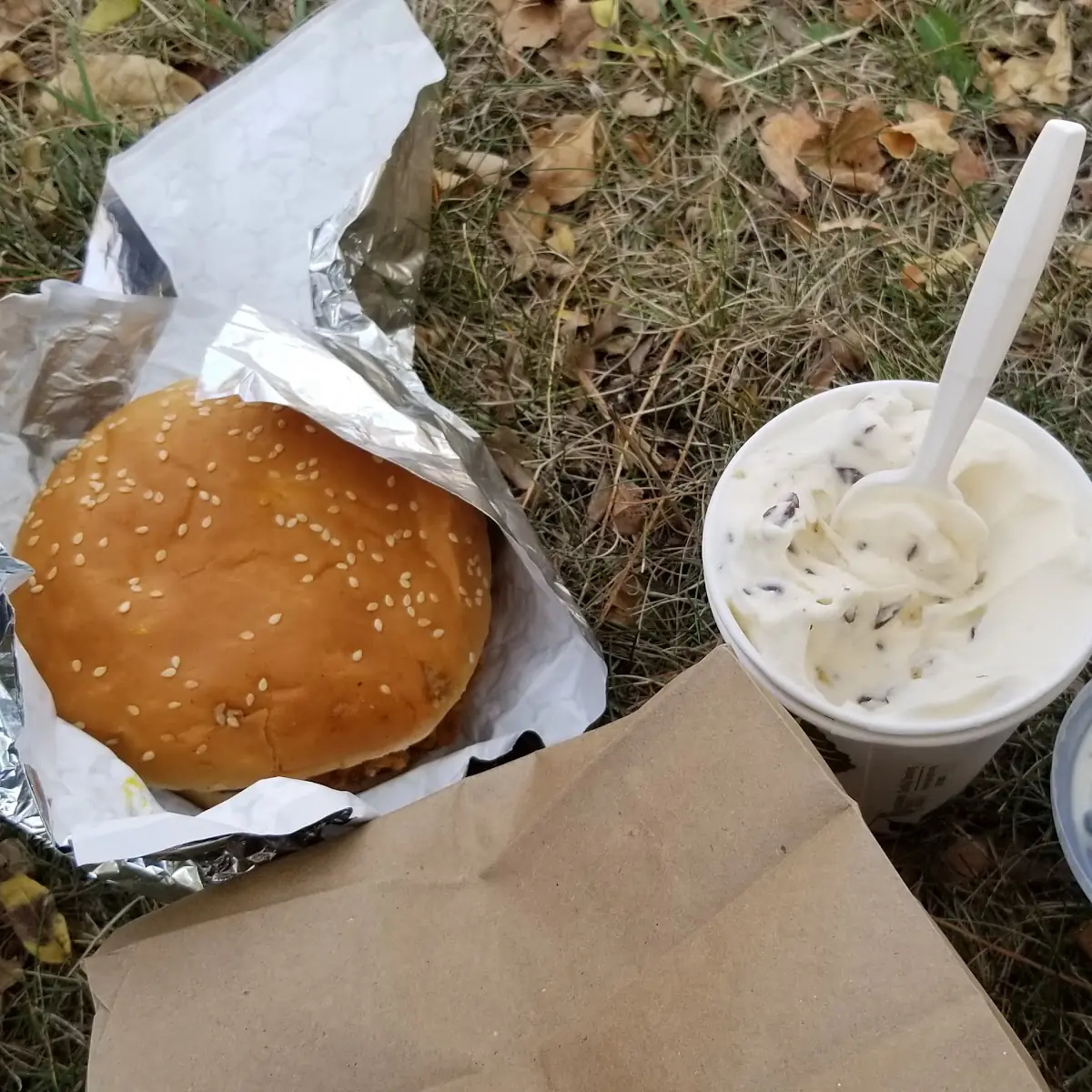 Pizza Burger and Fries Cyclone