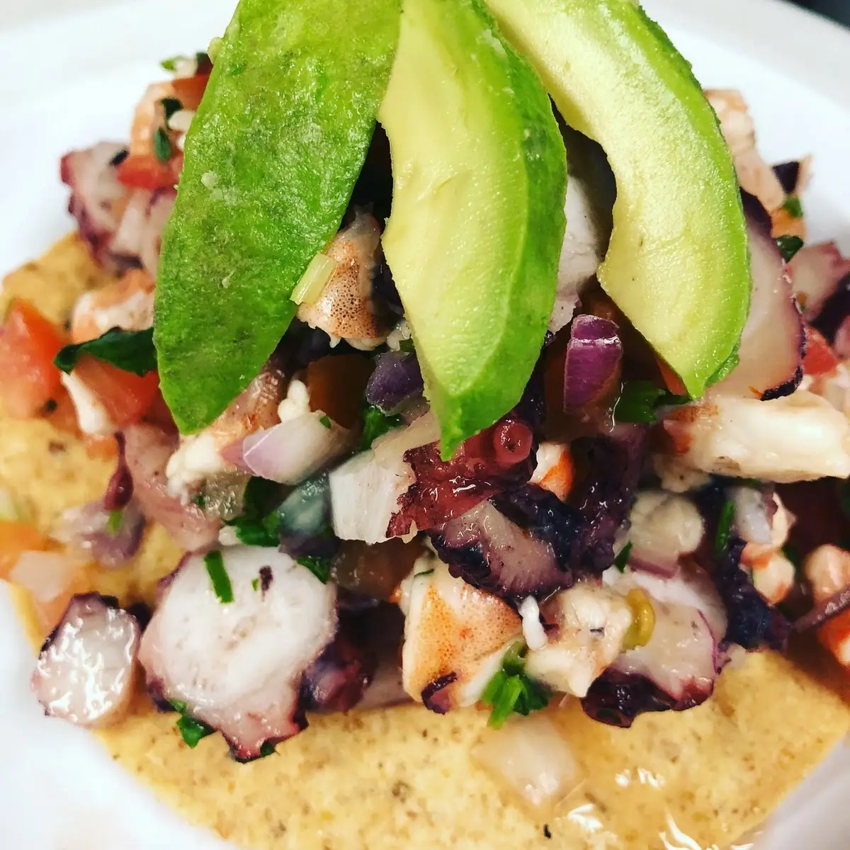 Ceviche Tostada