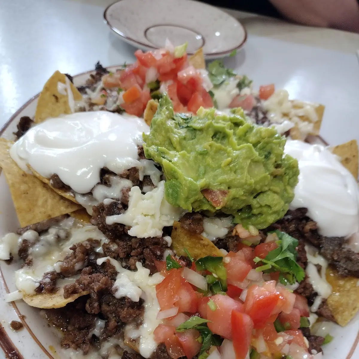 Carne Asada Fries