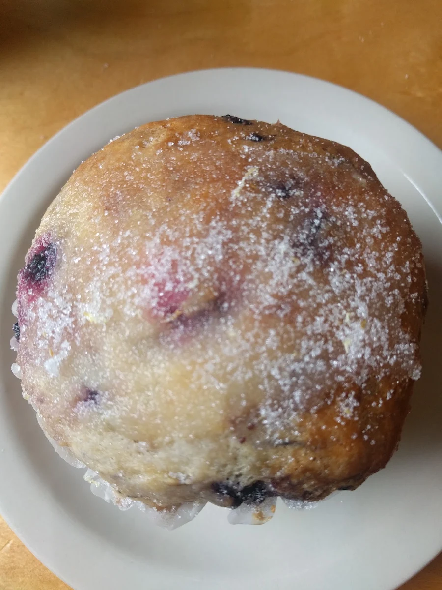 Blueberry Muffin