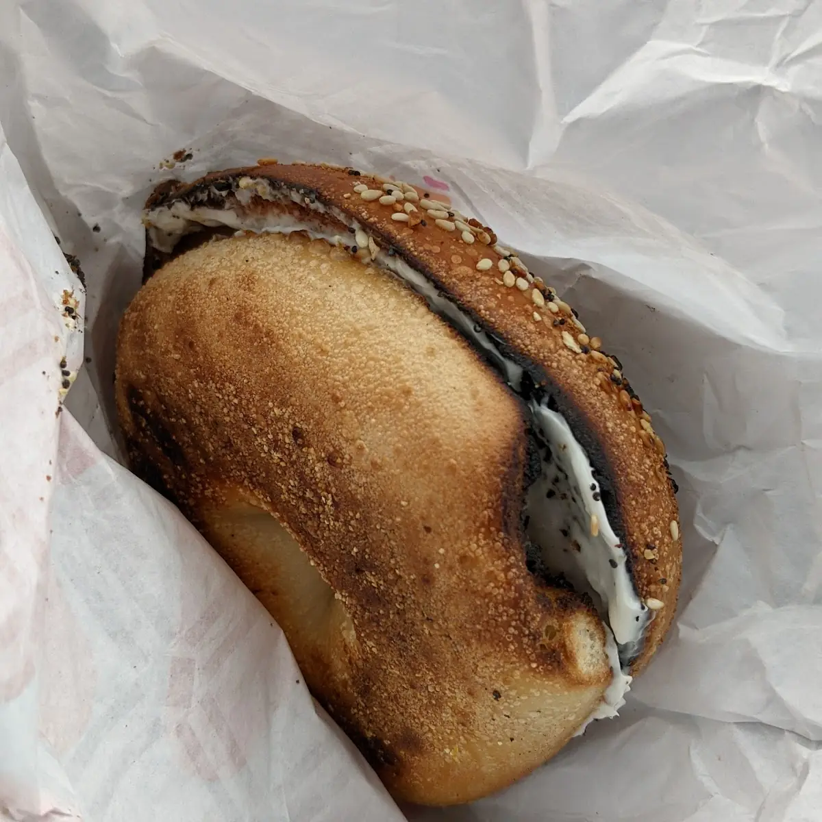 Everything Bagel with Cream Cheese