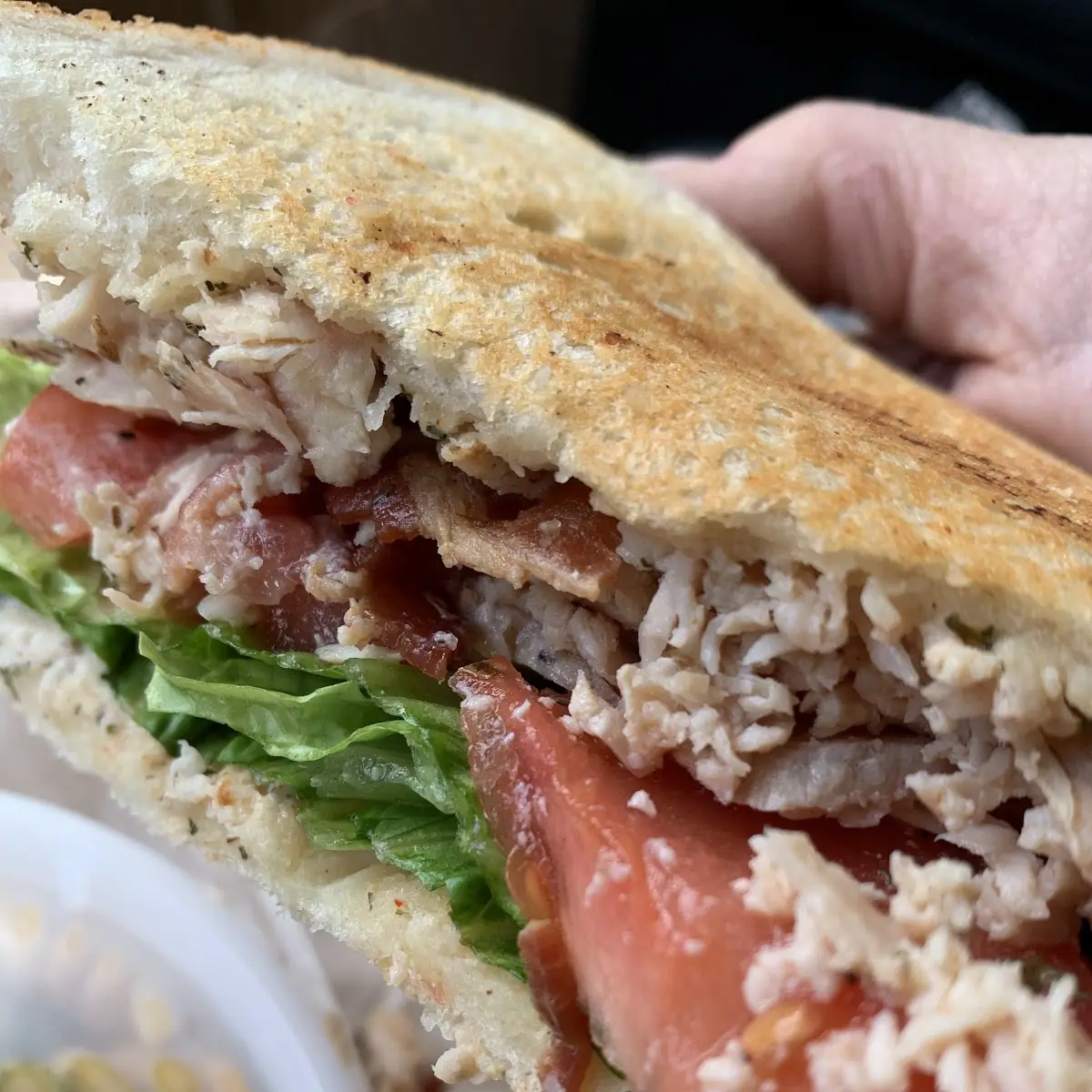 Chicken Bacon Ranch Panini