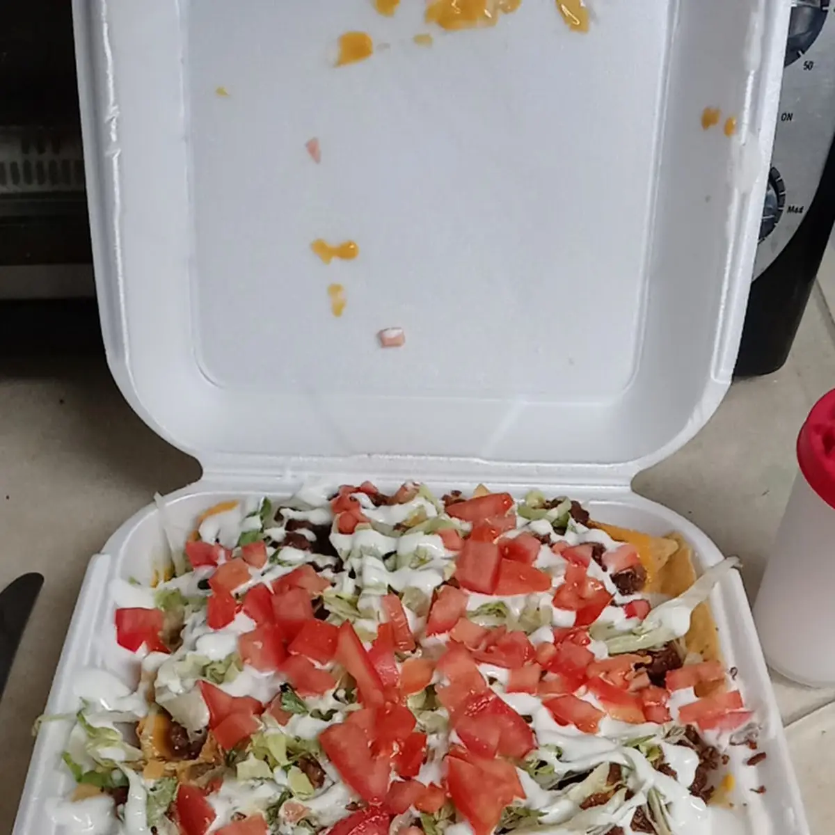 Carne Asada Fries
