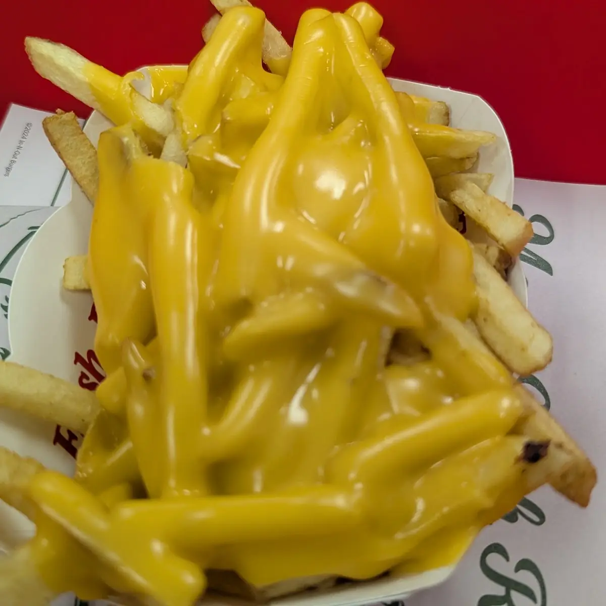 Cheese Fries