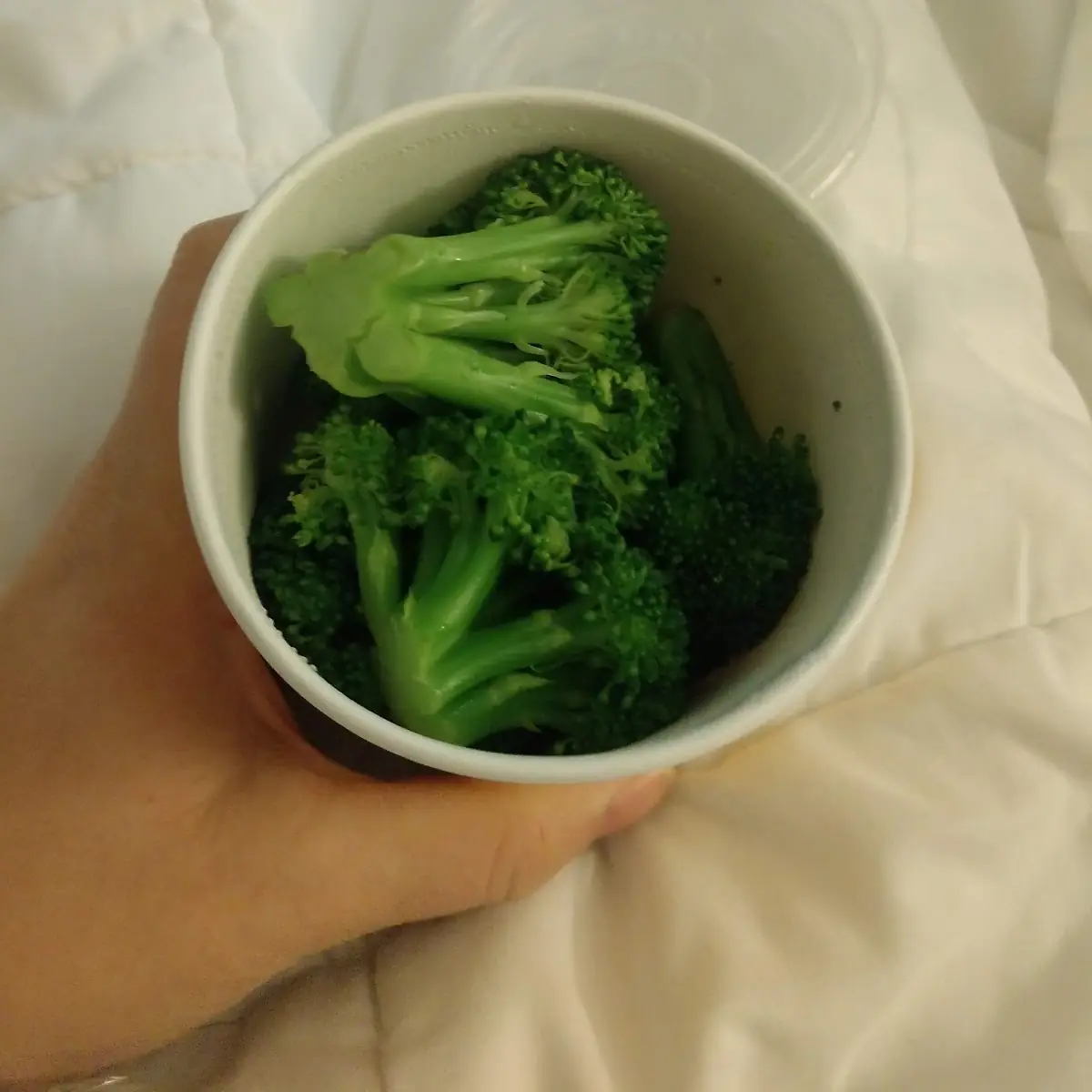 Steamed Broccoli