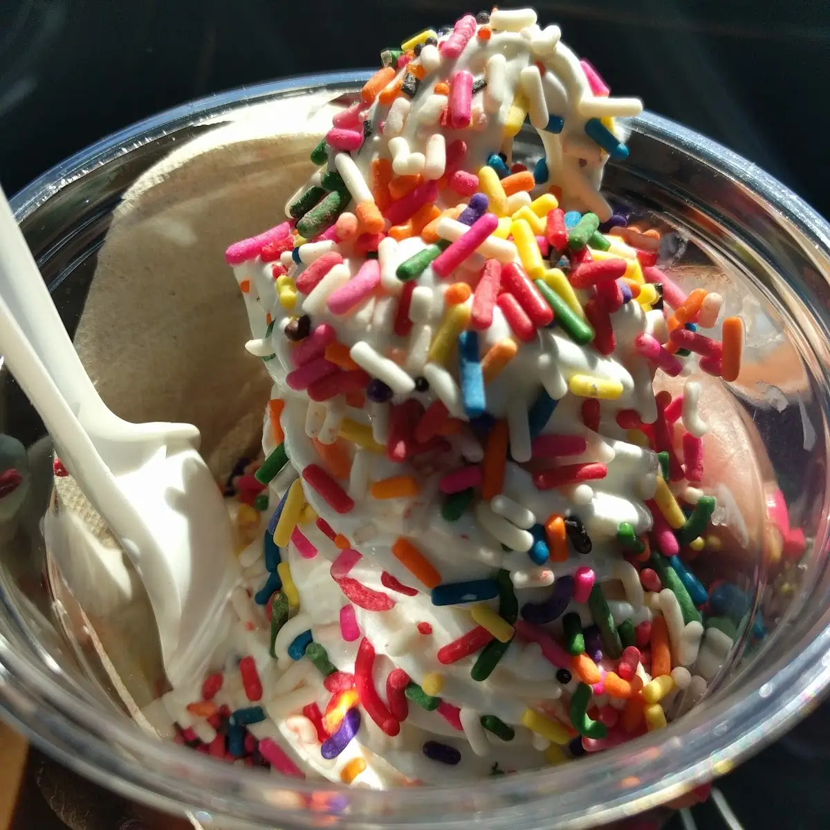 White Chocolate Ice Cream with Rainbow Sprinkles