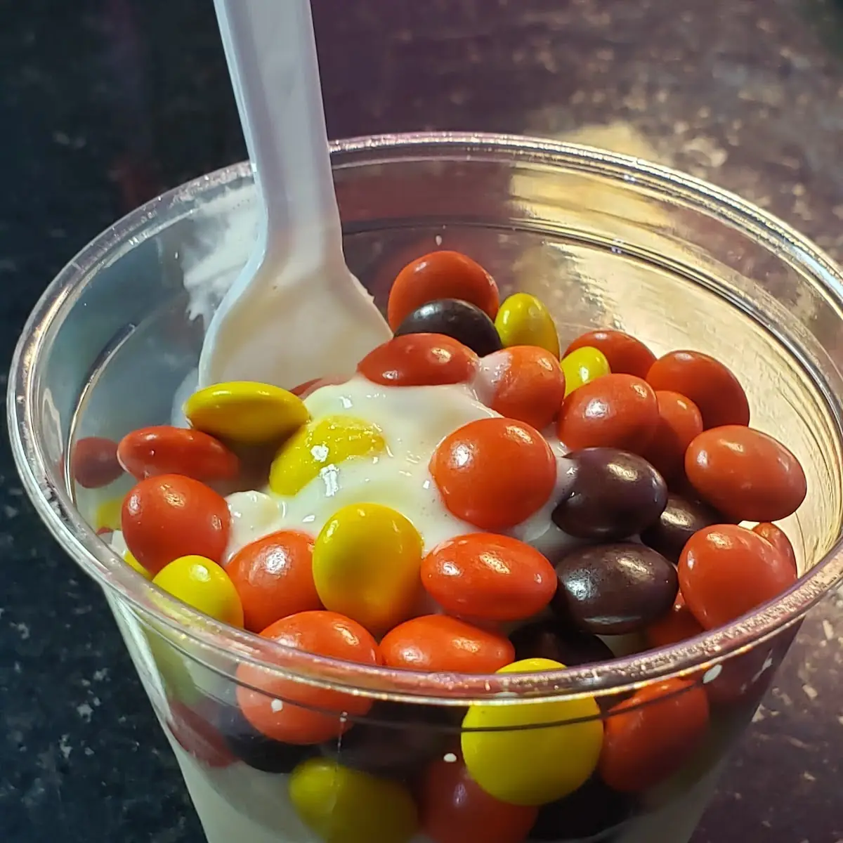 Vanilla Ice Cream with Reeses Pieces