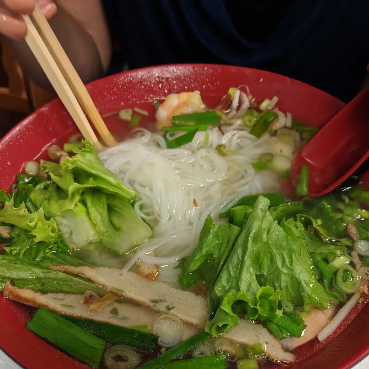 Combination Rice Noodle Soup