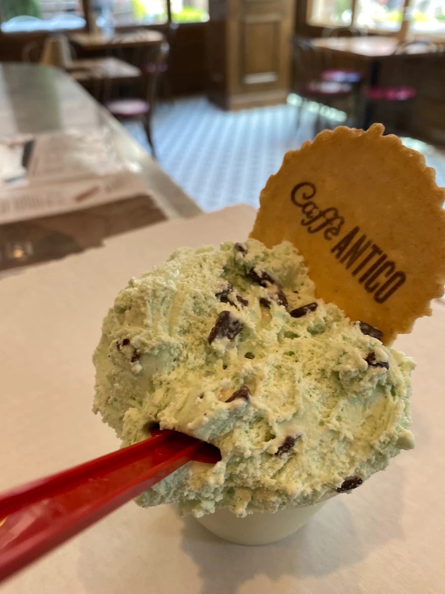 Mint Chocolate Chip Ice Cream