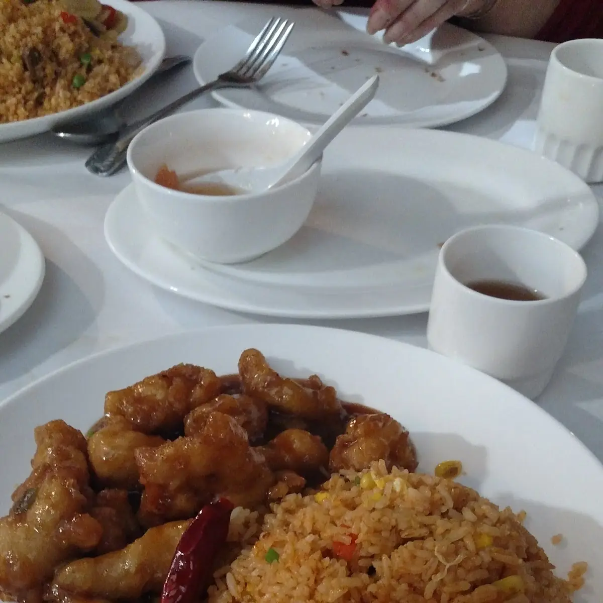 Spicy Chicken and Fried Rice