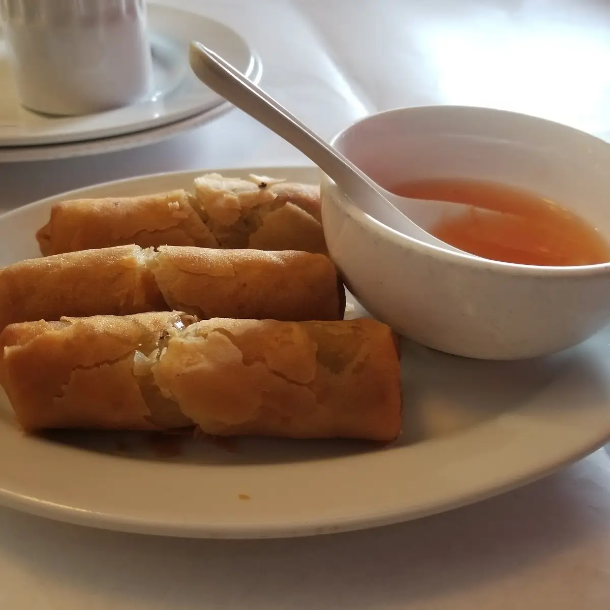 Vegetable Spring Roll 3