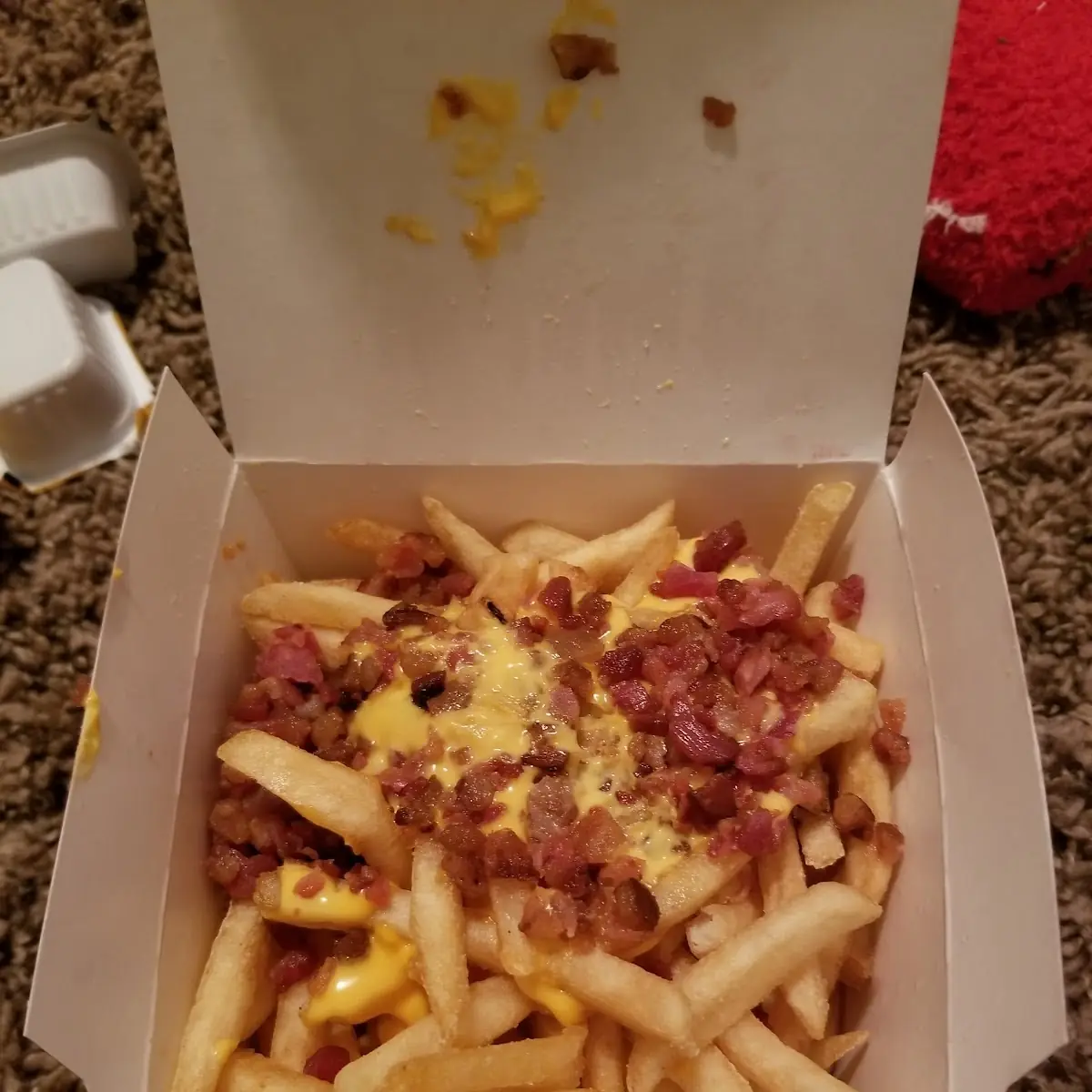 World Famous Fries