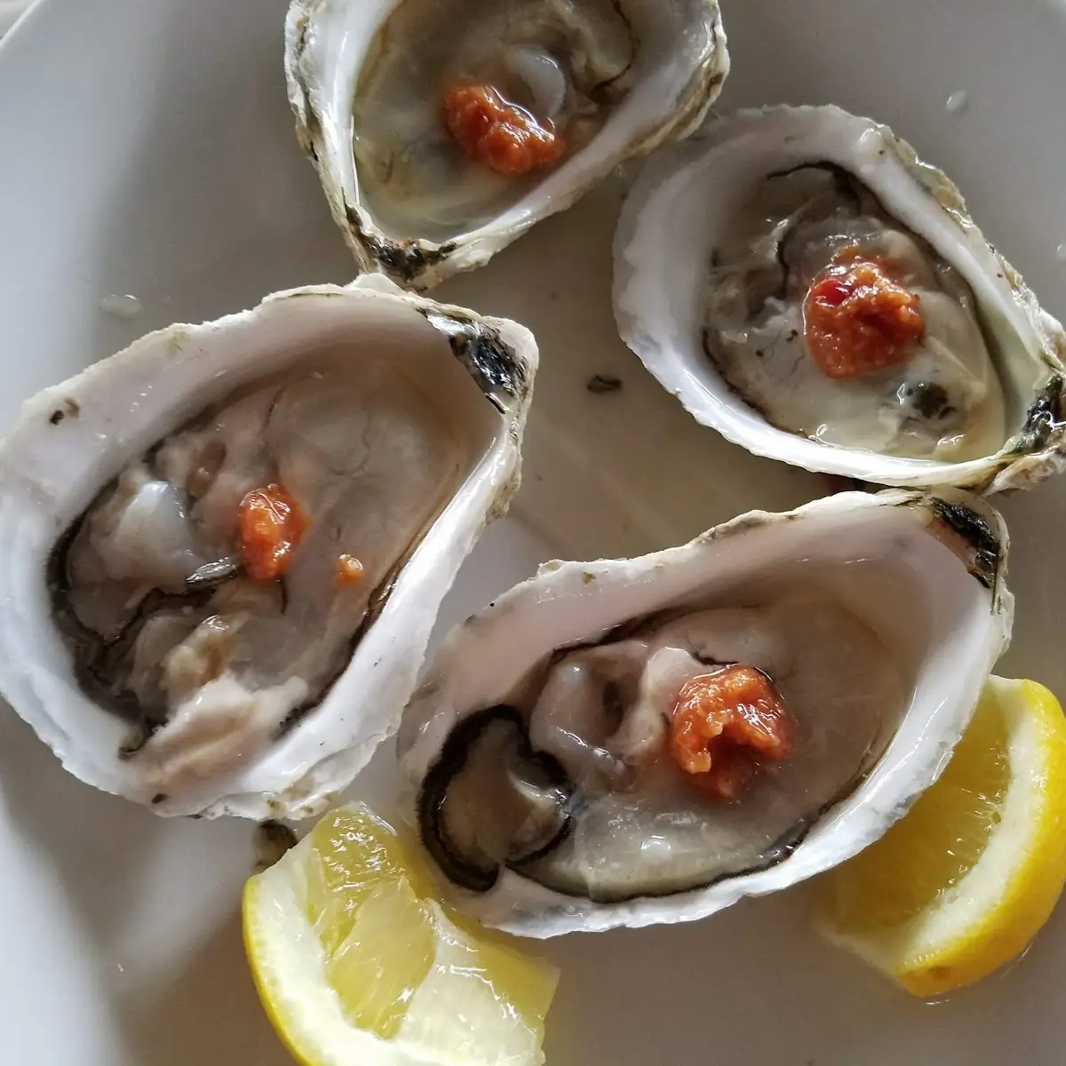 Oysters on the Half Shell