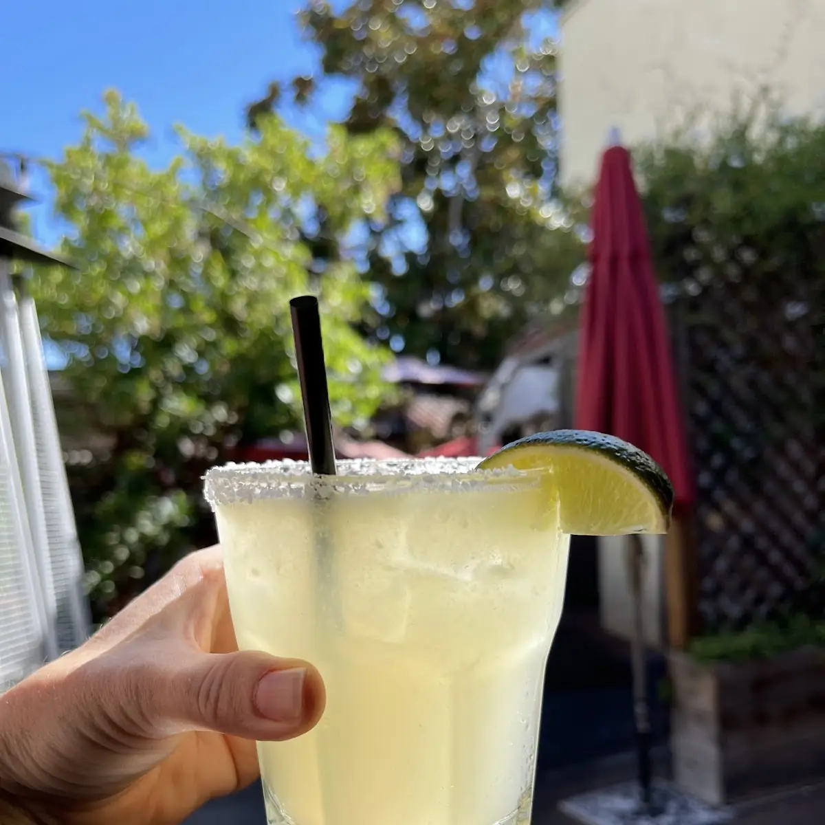 Virgin Margarita