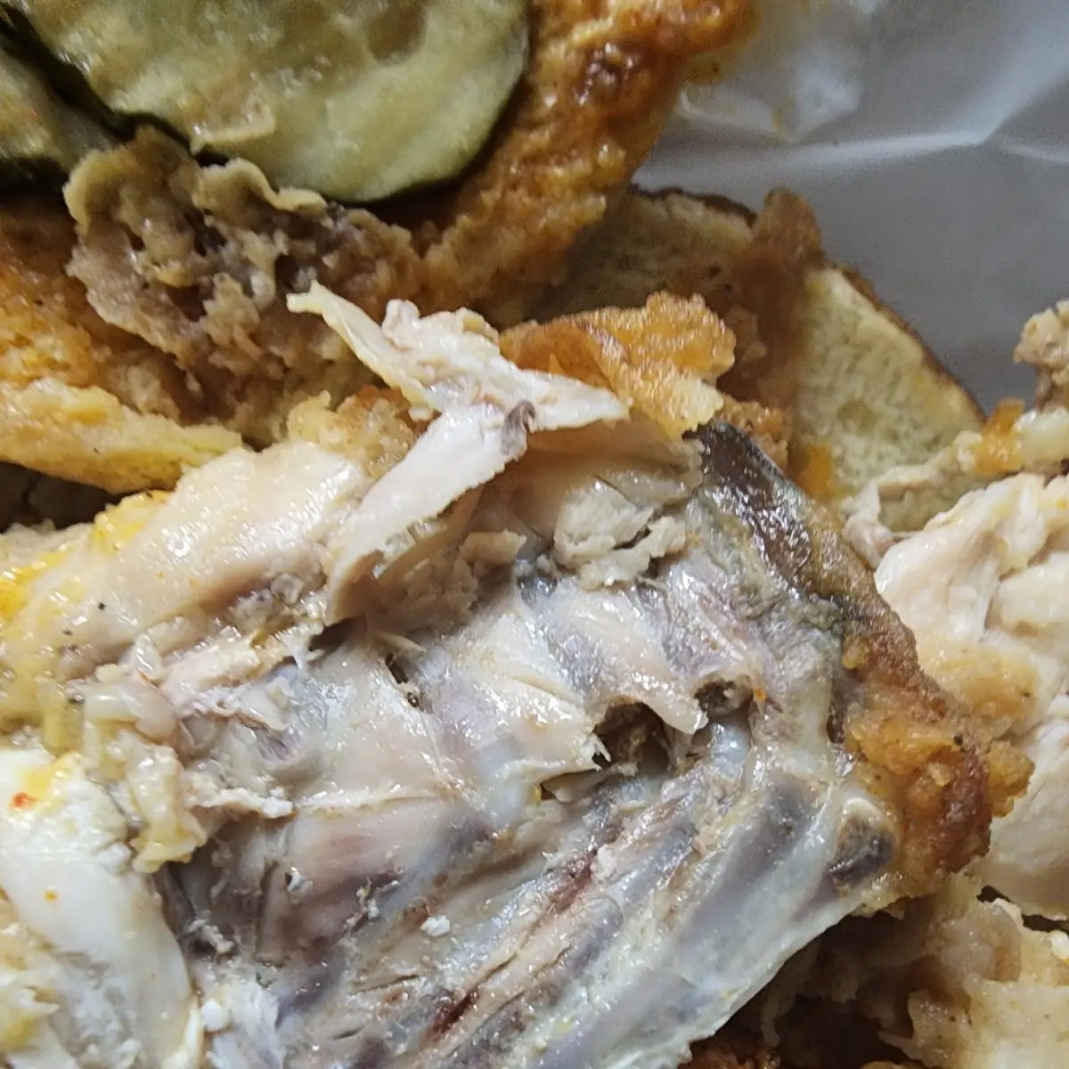 Chicken Breast with Bone Inside a Chicken Sandwich