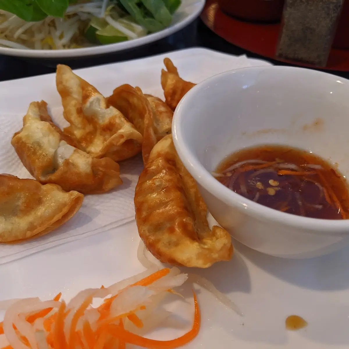 Fried Wonton and Egg Roll