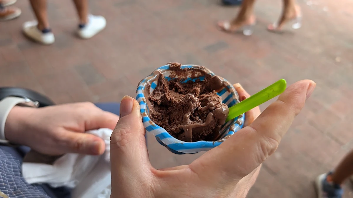 Chocolate Ice Cream