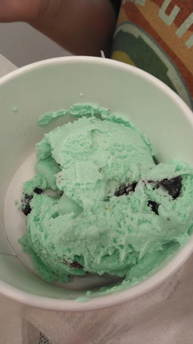 Mint Chocolate Ice Cream