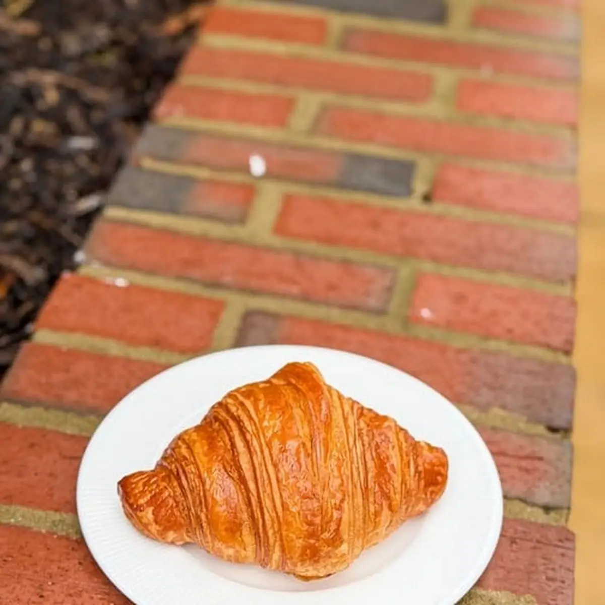 Golden Butter Croissant