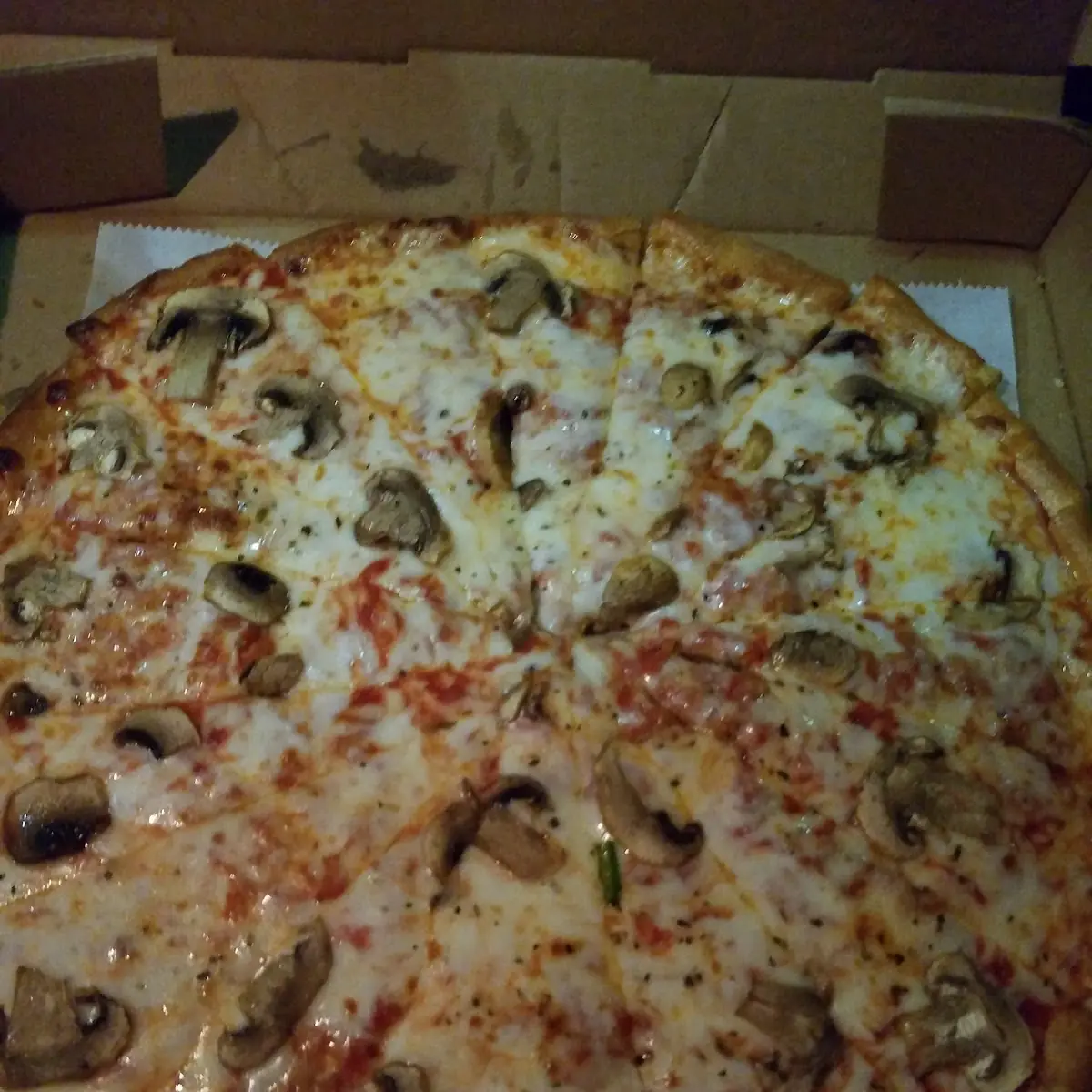 Mushroom & Cheese Pizza