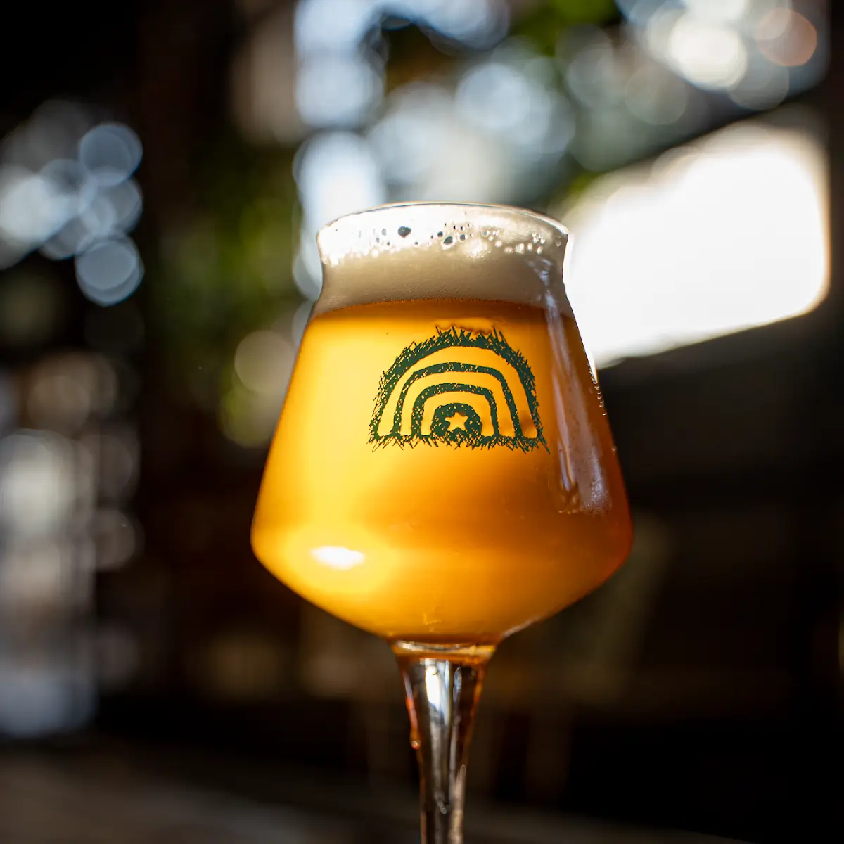 IPA Beer