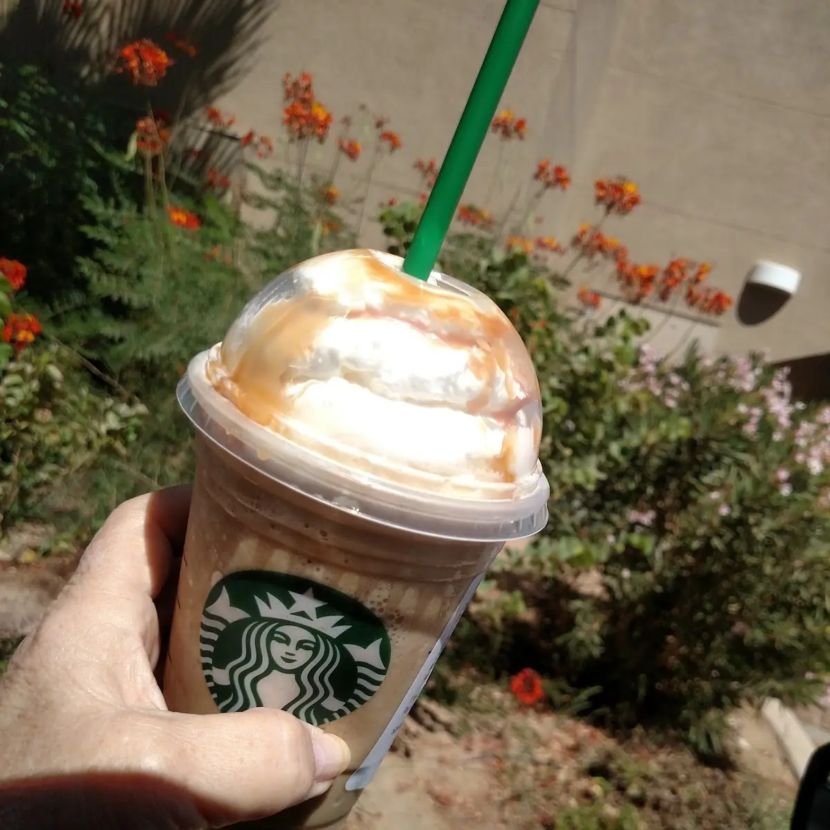 Skinny Caramel Frappe
