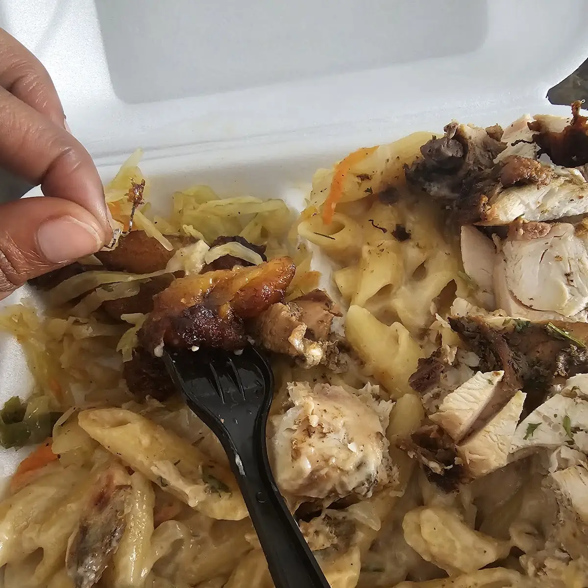 Jerk Chicken Pasta